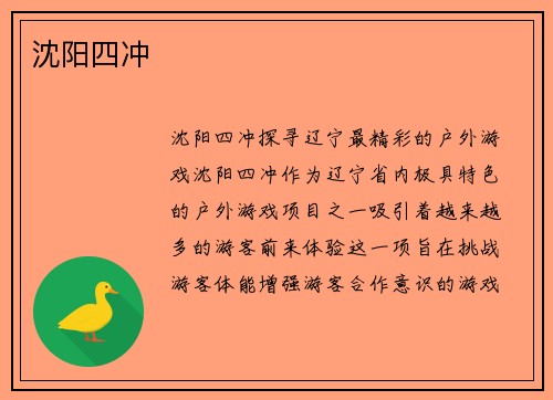 沈阳四冲
